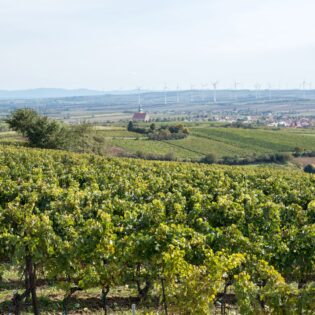 Blick aus der Ried Hermannschachern Richtung Poysdorf